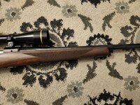 1000010491.jpg 1000010491.jpg