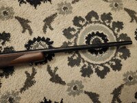 1000010492.jpg 1000010492.jpg