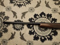 1000010497.jpg 1000010497.jpg