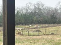 8d729d0b-7fa5-417d-933f-e15338f59fe6 (1).jpg 8d729d0b-7fa5-417d-933f-e15338f59fe6 (1).jpg