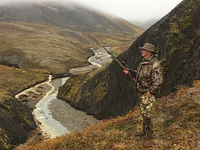 1765237336233.png 1765237336233.png