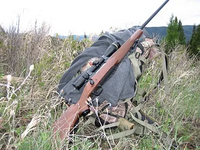 1765237389373.png 1765237389373.png