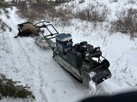 IMG_3152.jpeg IMG_3152.jpeg