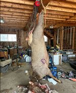 View recent photos.jpeg View recent photos.jpeg