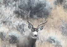 IMG_9978.jpeg IMG_9978.jpeg