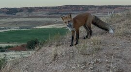 IMG_7325.jpeg IMG_7325.jpeg