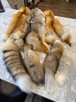 IMG_5930.jpeg IMG_5930.jpeg