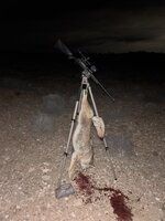 IMG_3496.jpeg IMG_3496.jpeg