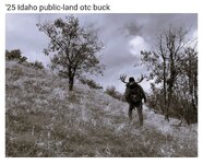Boise buck 2.jpg