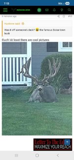 Boise Town Buck 3.jpg