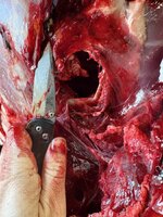 IMG_2192.jpeg IMG_2192.jpeg