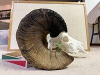 IMG_9605.jpeg IMG_9605.jpeg