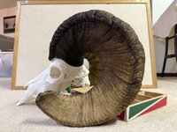 IMG_9604.jpeg IMG_9604.jpeg