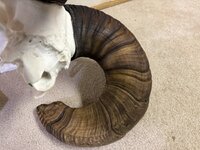 IMG_9608.jpeg IMG_9608.jpeg