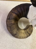 IMG_9606.jpeg IMG_9606.jpeg