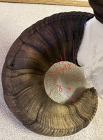 IMG_1652.jpeg IMG_1652.jpeg