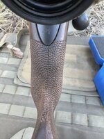 1765312237552.jpeg 1765312237552.jpeg