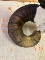 IMG_9606.jpeg IMG_9606.jpeg