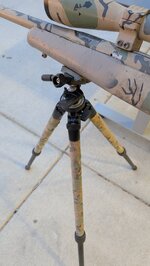 PXL_20251128_233101398.jpg PXL_20251128_233101398.jpg