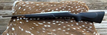 IMG_1710.jpeg IMG_1710.jpeg