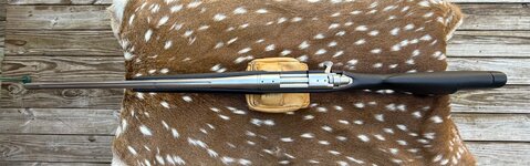 IMG_1705.jpeg IMG_1705.jpeg