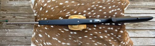 IMG_1707.jpeg IMG_1707.jpeg