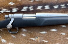 IMG_1715.jpeg IMG_1715.jpeg