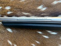 IMG_1717.jpeg IMG_1717.jpeg