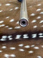 IMG_1721.jpeg IMG_1721.jpeg