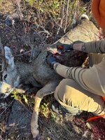 IMG_8814_2.jpg IMG_8814_2.jpg