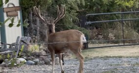 IMG_3745.jpeg IMG_3745.jpeg