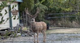 IMG_3744.jpeg IMG_3744.jpeg