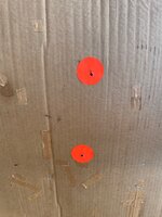 IMG_4646.jpeg IMG_4646.jpeg