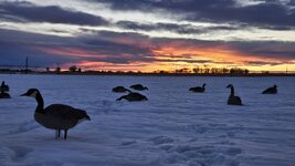 20251206_070121 (002).jpg