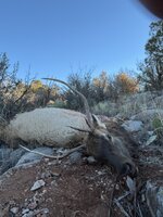 IMG_4127.jpeg IMG_4127.jpeg