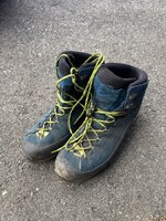 IMG_7036.jpeg IMG_7036.jpeg