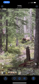 mr. elk.png mr. elk.png