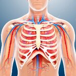 f0060972-800px-wm.jpg f0060972-800px-wm.jpg