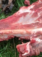 7312E89E-5CD8-406B-A7CE-89F6E9BCDE2C.jpeg 7312E89E-5CD8-406B-A7CE-89F6E9BCDE2C.jpeg