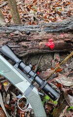 Screenshot_20251208_202512_Gallery.jpg Screenshot_20251208_202512_Gallery.jpg