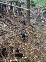 IMG_3903.jpeg IMG_3903.jpeg