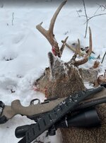 2025-Muzzleloader-Buck-MM.jpg