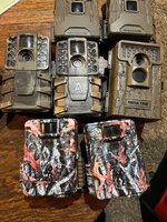 IMG_6411.jpeg IMG_6411.jpeg