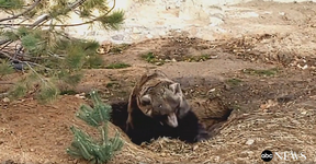 1765462673466.png 1765462673466.png