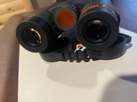 IMG_6459.jpeg IMG_6459.jpeg