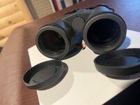 IMG_6458.jpeg IMG_6458.jpeg