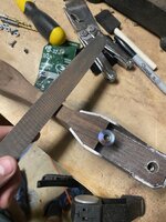 IMG_8831.jpeg IMG_8831.jpeg