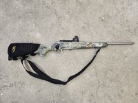 1000013495.jpg 1000013495.jpg