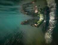 B4872354-EBA9-45E7-88C8-38546838C30E.jpeg B4872354-EBA9-45E7-88C8-38546838C30E.jpeg