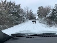 Screenshot_20251211_212351_Gallery.jpg Screenshot_20251211_212351_Gallery.jpg